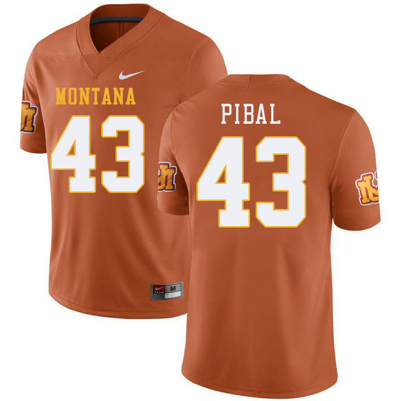 Montana Grizzlies #43 Grayson Pibal College Football Jerseys Stitched Sale-Throwback